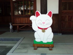 Manekineko reception