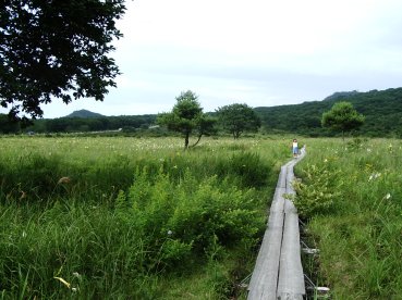 榛名山、ゆうすげの道