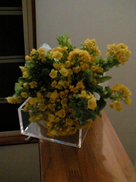 菜花