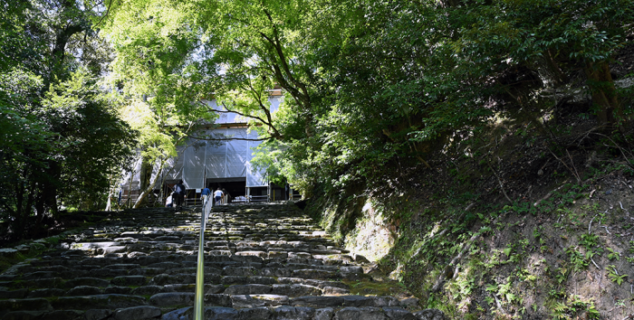 神護寺・桜門