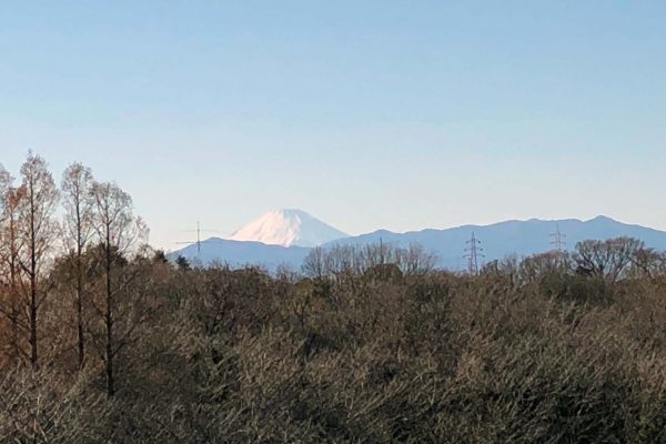 Mt. Fuji on New Year's Day